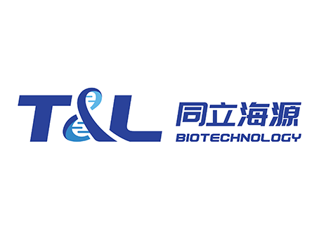MaxSortin®CD13分选磁珠