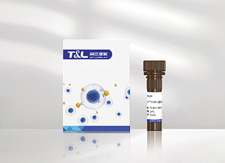 MaxSortin®TCR αβ分选磁珠